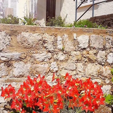 Nar Maison d'hôtes Dubrovnik